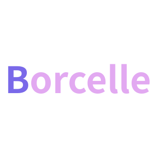 Borcelleサポートチーム